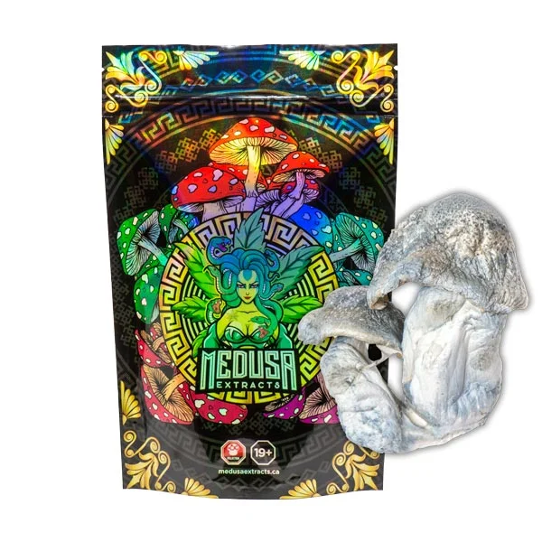 APE Albino Penis Envy Magic Mushrooms | Medusa Extracts