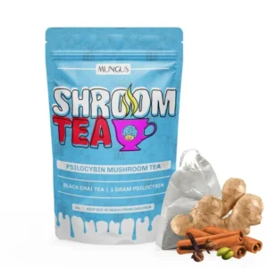 Black Chai Shroom Tea | 1 GRAM