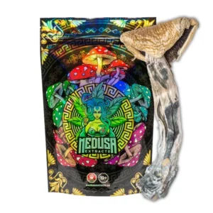 Golden Teachers Magic Mushrooms | Medusa Extracts